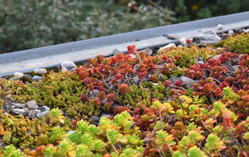 the cost of Sutterby green roof installation