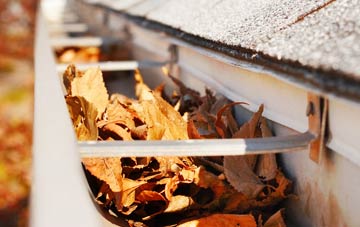 Sutterby gutter cleaning companies