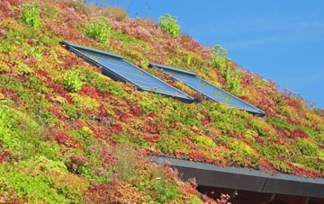 Sutterby living roof systems