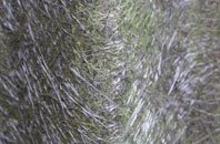 Sutterby fibreglass roof work